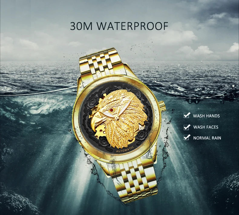 Carve Eagle Dial Men's Automatic Mechanical Watches Luxury Brand Full Stainless Steel Skeleton Watch Male Business Wristwatch